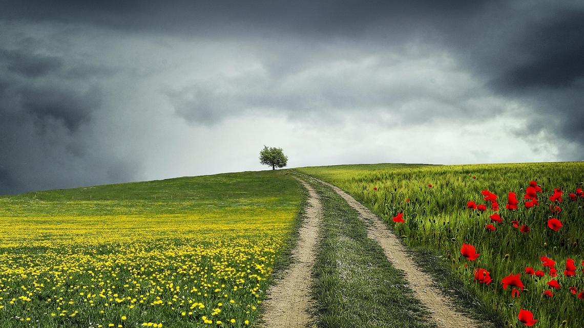 Dunkler Horizont