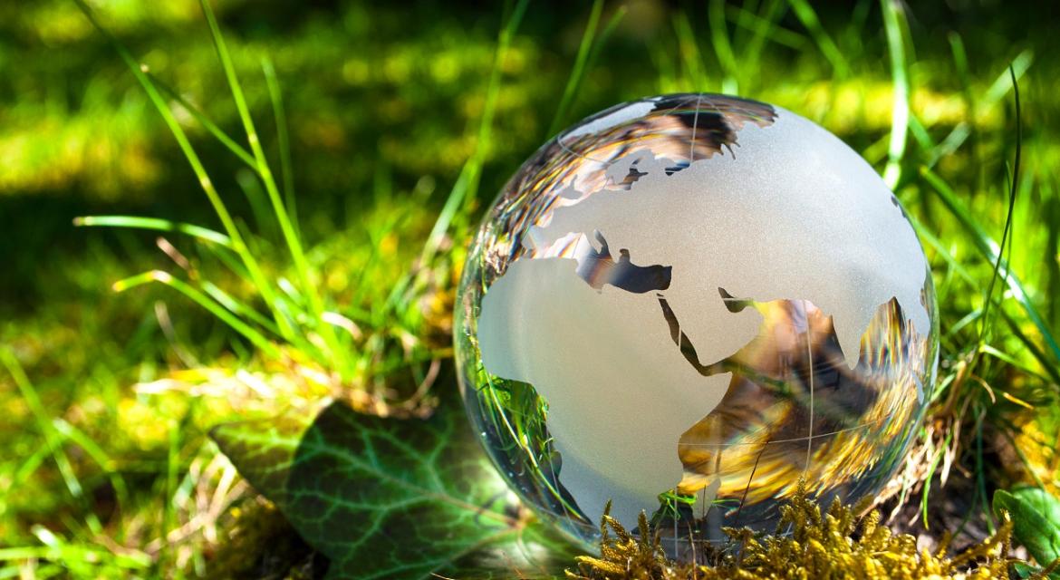 Glasglobus auf offener Wiese